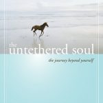 the-untethered-soul-book