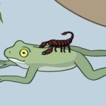 scorpion-frog