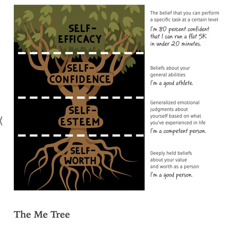 the-me-tree