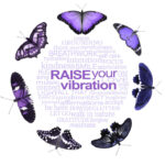 raise-your-vibration